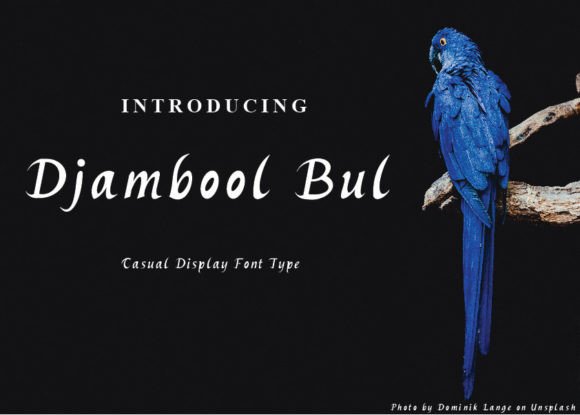 Djambool Bul: A Craft Font with Casual Elegance