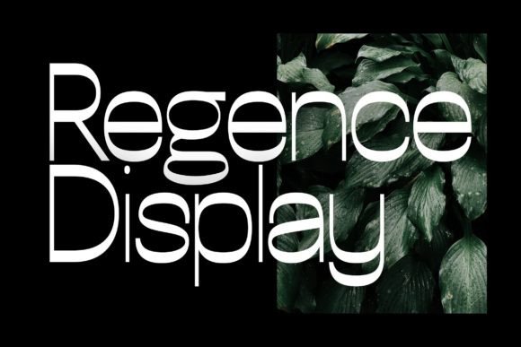 Regence: The Display Font That Elevates Your Brand Story
