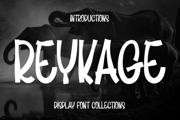 Reykage: The Font That Brought Life to a Brand