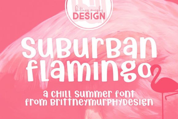 Why Suburban Flamingo Became My Go-To Campaign Display Font